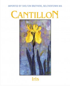 MAGNET Cantillon - Iris